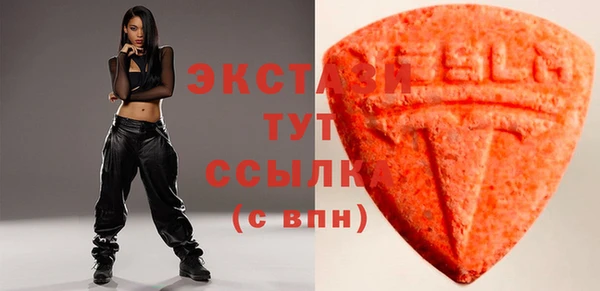 индика Новодвинск