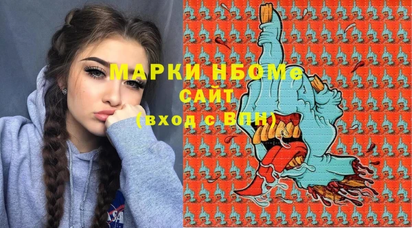 хмурый Ельня