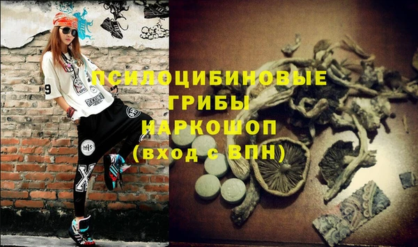 бошки Нефтекумск