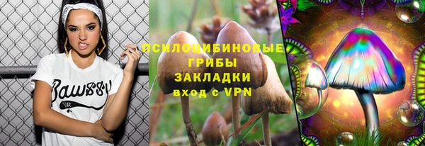 2c-b Нефтегорск