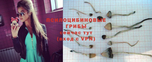 мескалин Новокубанск