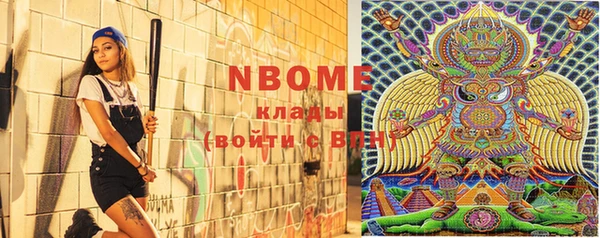 индика Новодвинск